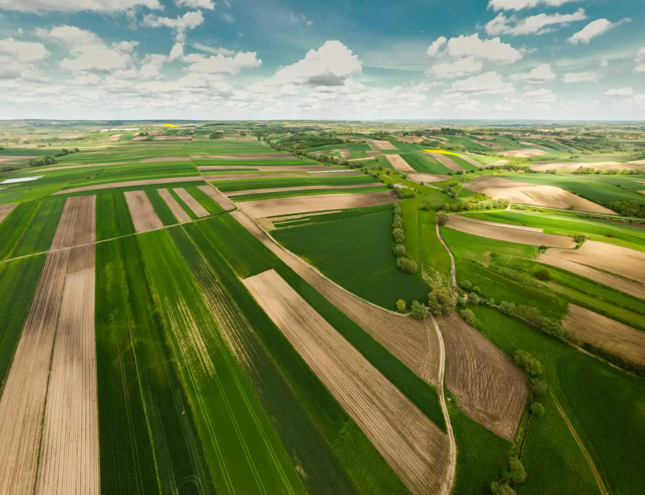 Valore terreno agricolo: ecco cosa cambia con le nuove normative
